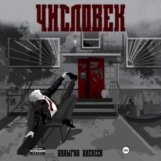Обложка книги «Числовек»