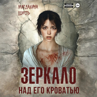 Обложка книги «Зеркало над его кроватью»