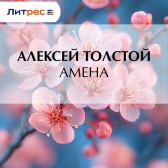 Обложка книги «Амена»