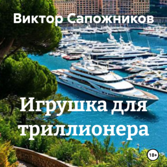 Обложка книги «Игрушка для триллионера»