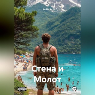 Обложка книги «Стена и Молот»