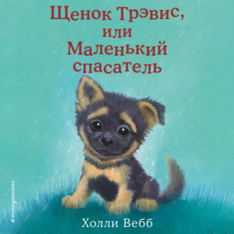 Обложка книги «Щенок Трэвис, или Маленький спасатель»