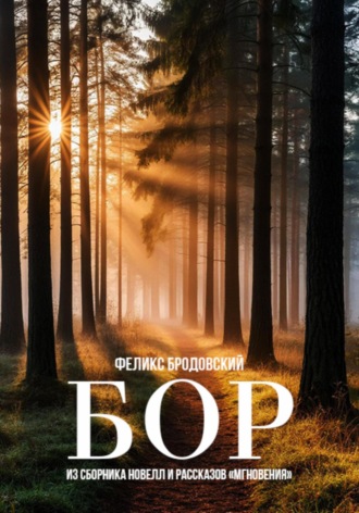 Феликс Бродовский. Бор