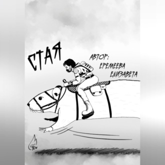 Обложка книги «Стая»