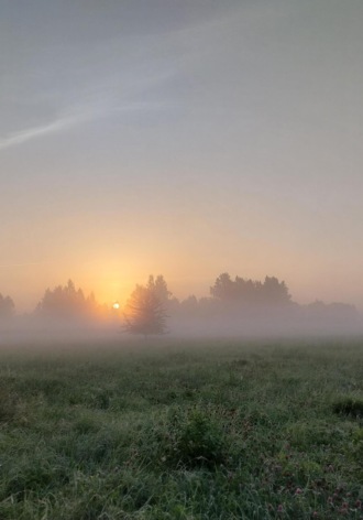 Светлана Данилина. Комплимент
