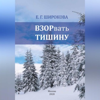 Обложка книги «ВЗОРвать тишину»