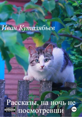 . Рассказы, на ночь не посмотревши