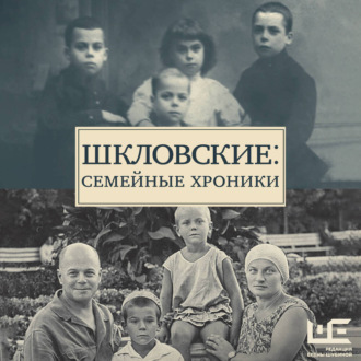 Обложка книги «Шкловские: Семейные хроники»