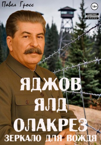 Обложка книги «Яджов ялд олакреЗ (Зеркало для вождЯ)»