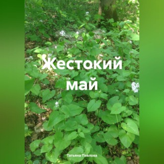 Обложка книги «Жестокий май»