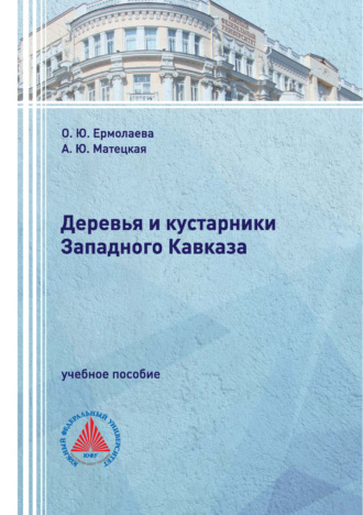 Обложка книги «Деревья и кустарники Западного Кавказа»