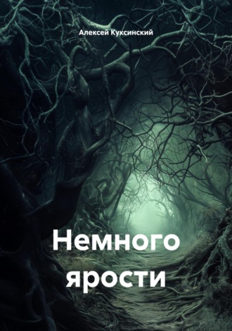Обложка книги «Немного ярости»