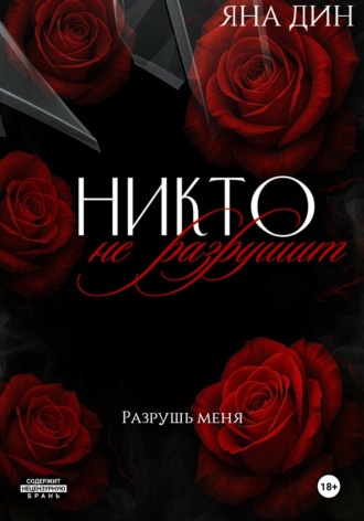 Обложка книги «Никто не разрушит»