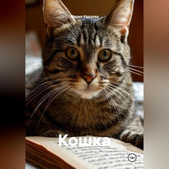 Обложка книги «Кошка»