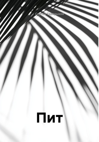 Обложка книги «Пит»