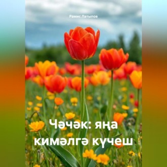 Обложка книги «Чәчәк: яңа кимәлгә күчеш»