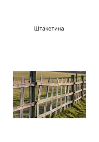 Обложка книги «Штакетина»