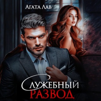 Обложка книги «Служебный развод»