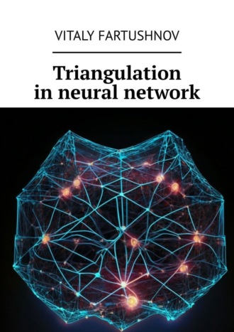 Обложка книги «Triangulation in neural network»