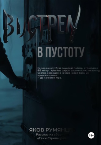 Обложка книги «Выстрел в пустоту»