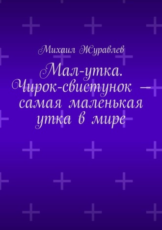 Михаил Журавлев. Мал-утка. Чирок-свистунок – самая маленькая утка в мире