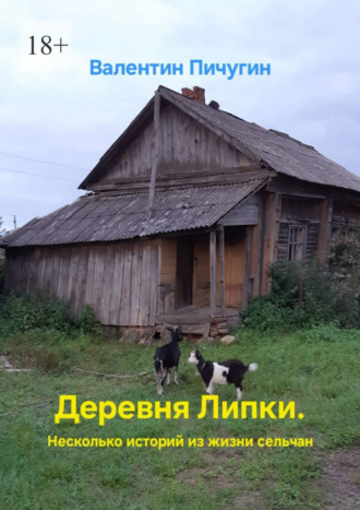 Обложка книги «Деревня Липки. Несколько историй из жизни сельчан»