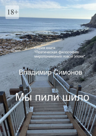 Обложка книги «Мы пили шило. Серия: «Поэтическая философия миропонимания новой эпохи»»