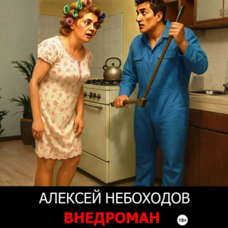 Обложка книги «Внедроман»