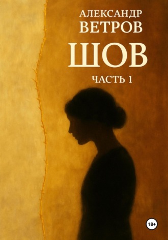 Обложка книги «Шов»