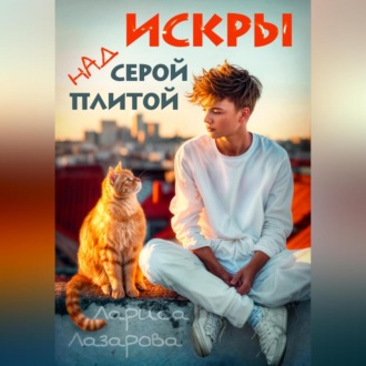 Обложка книги «Искры над серой плитой»