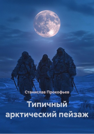 Обложка книги «Типичный арктический пейзаж»