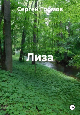 Обложка книги «Лиза»