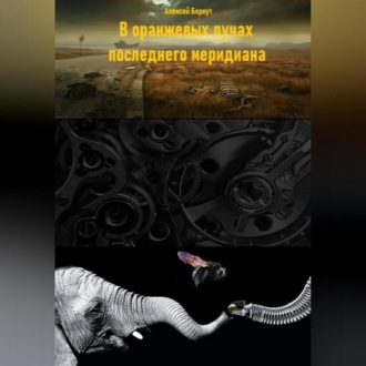 Обложка книги «В оранжевых лучах последнего меридиана»