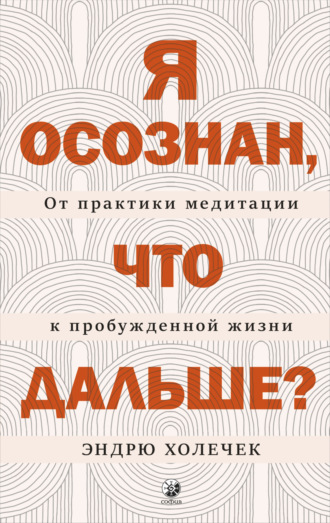 Обложка книги «Я осознан, что дальше? От практики медитации к пробужденной жизни»