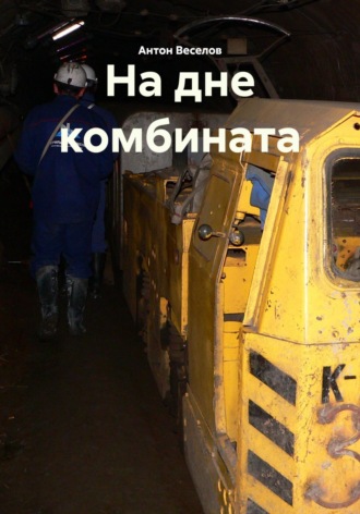 Обложка книги «На дне комбината»