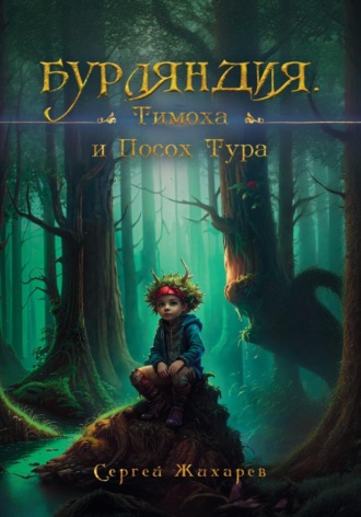 Обложка книги «Бурляндия. Тимоха и Посох Тура»