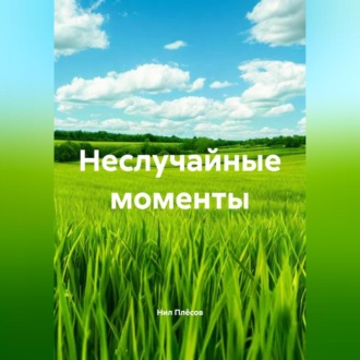 Обложка книги «Неслучайные моменты»