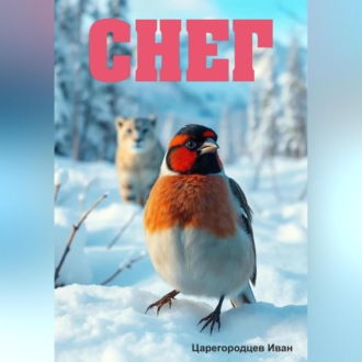 Обложка книги «Снег»