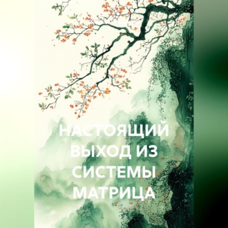Обложка книги «НАСТОЯЩИЙ ВЫХОД ИЗ СИСТЕМЫ МАТРИЦА»