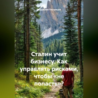 Обложка книги «Сталин учит бизнесу. Как управлять рисками, чтобы «не попасть»?»