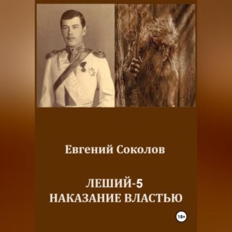 Обложка книги «Леший-5. Наказание властью»