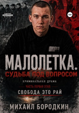 Обложка книги «Малолетка*. Судьба под вопросом»