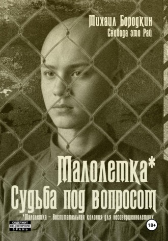 Михаил Бородкин. Малолетка*. Судьба под вопросом