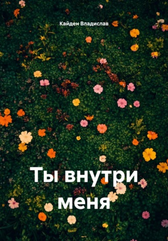 Кайден Владислав. Ты внутри меня