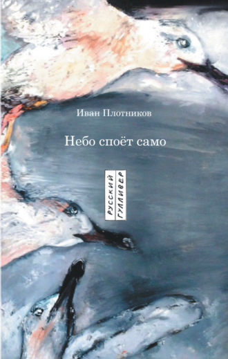 Обложка книги «Небо споёт само»