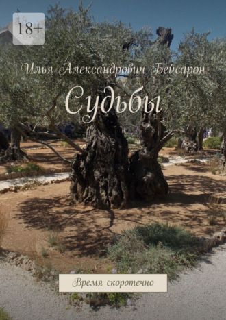 Обложка книги «Судьбы. Время скоротечно»