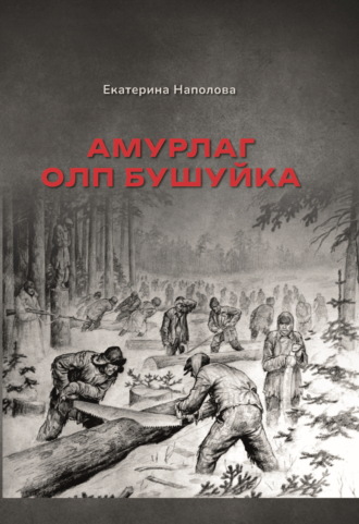 Обложка книги «Амурлаг ОЛП Бушуйка»