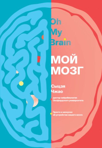 Мой мозг. Сыцзя Чжао