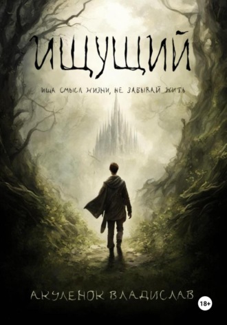 Обложка книги «Ищущий»