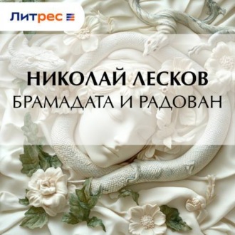 Обложка книги «Брамадата и Радован»